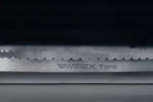 Testera Toro