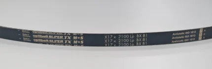 WM16868 BX81